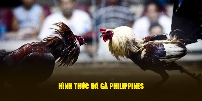 Hình thức Đá gà Philippines