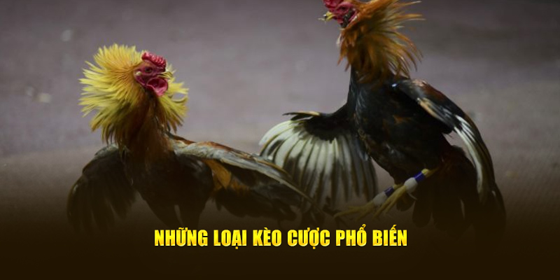 Những hình thức kèo cược phổ biến